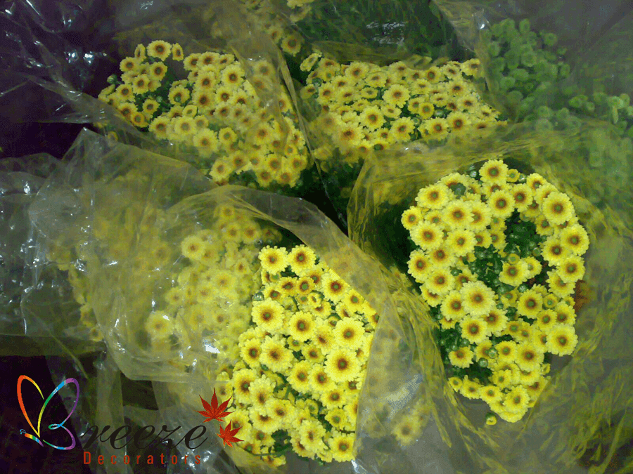 Flower Decoration - Original Full Size Photo 3