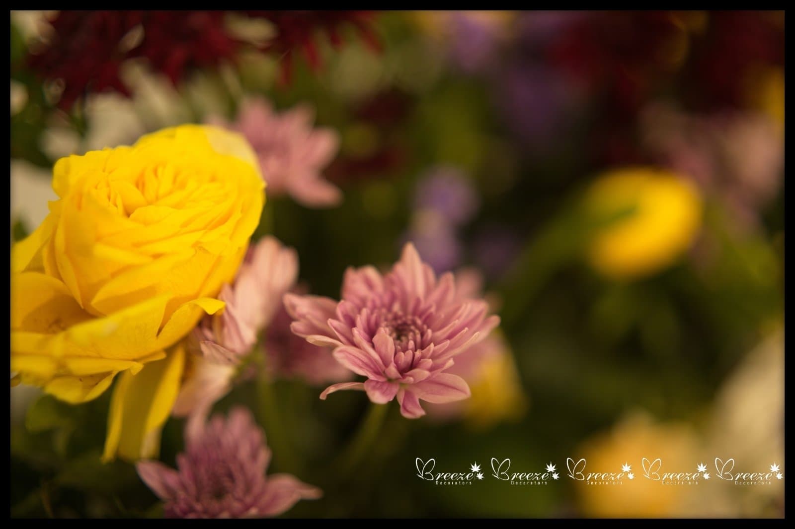 Wedding Decoration at Selvanayaki Amman Kovil Kalyana Mandapam - Original Full Size Photo 4